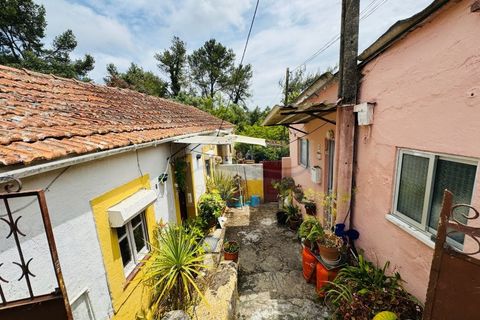 Lejlighed i Belas, Lisbon, Belas - € 290.000 | Ref: AP7503 - foto 15