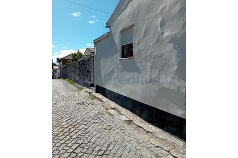 Villa i Madalena, Porto, Madalena - € 250.000 | Ref: 16244-p - foto 6