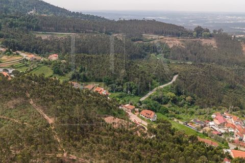 Terra a Luso, Aveiro, Luso - € 120.000 | Ref: LUX_CB-01411 - foto 10
