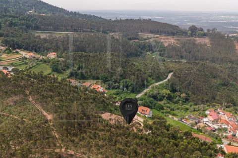 Terra a Luso, Aveiro, Luso - € 120.000 | Ref: LUX_CB-01411 - foto 11