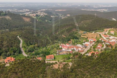 Terra a Luso, Aveiro, Luso - € 120.000 | Ref: LUX_CB-01411 - foto 12