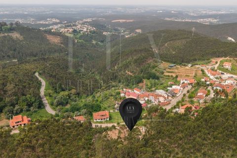 Terra a Luso, Aveiro, Luso - € 120.000 | Ref: LUX_CB-01411 - foto 13