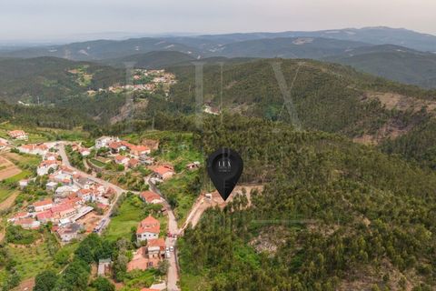 Terra a Luso, Aveiro, Luso - € 120.000 | Ref: LUX_CB-01411 - foto 17