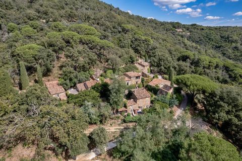 Villa i La Garde-Freinet, Var, La Garde-Freinet - € 4.900.000 | Ref: HH-16172506 - foto 14