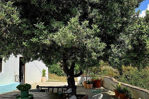 Villa a Almunecar, Granada, Almunecar - € 315.000 | Ref: 735 - foto 9