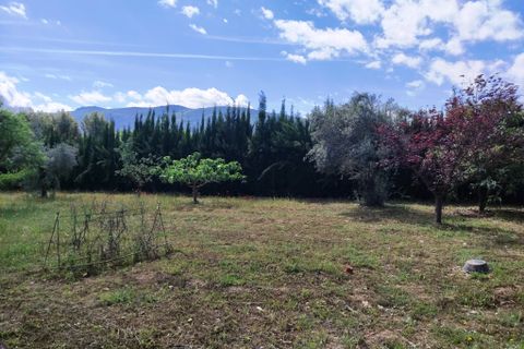Villa i Alcoy, Alicante, Alcoy - € 289.000 | Ref: 3014 - foto 20