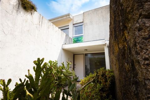 Rækkehus i Aves, Porto, Aves - € 359.000 | Ref: CNTCM F2172 - foto 30