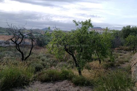 Farm hus i Albox, Almeria, Albox - € 70.000 | Ref: APS 1996 - foto 5