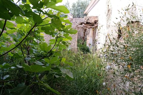 Farm hus i Albox, Almeria, Albox - € 70.000 | Ref: APS 1996 - foto 12