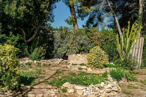 Villa a Paichi, Alicante, Paichi - € 550.000 | Ref: BP3333 - foto 33