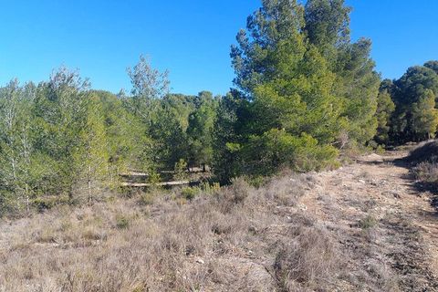 Terra a Biar, Alicante, Biar - € 495.000 | Ref: OH1073 - foto 4