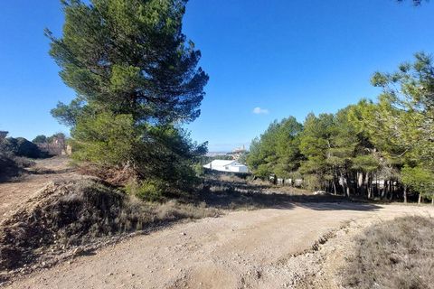 Terra a Biar, Alicante, Biar - € 495.000 | Ref: OH1073 - foto 5