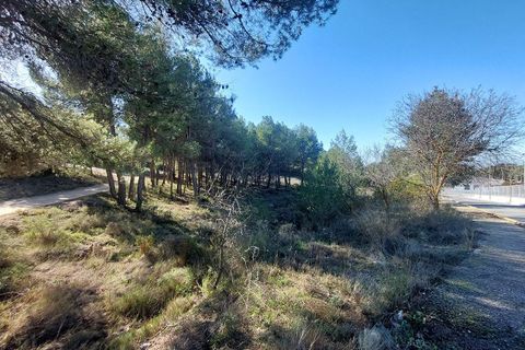 Terra a Biar, Alicante, Biar - € 495.000 | Ref: OH1073 - foto 6