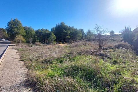 Terra a Biar, Alicante, Biar - € 495.000 | Ref: OH1073 - foto 7