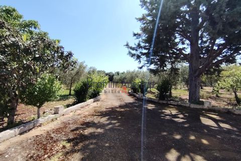 Landejendom i Ostuni, Brindisi, Ostuni - € 130.000 | Ref: 173043 - foto 10
