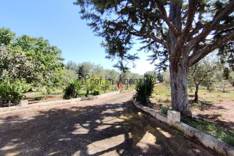 Landejendom i Ostuni, Brindisi, Ostuni - € 130.000 | Ref: 173043 - foto 14