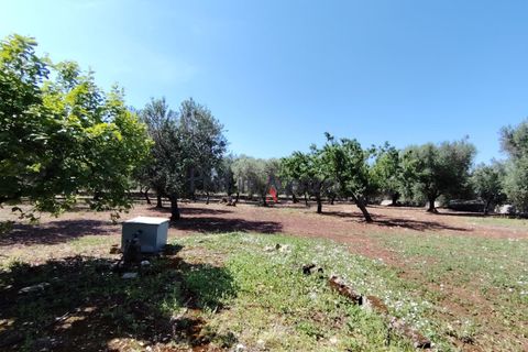 Landejendom i Ostuni, Brindisi, Ostuni - € 130.000 | Ref: 173043 - foto 11