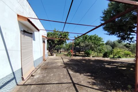 Landejendom i Ostuni, Brindisi, Ostuni - € 130.000 | Ref: 173043 - foto 3