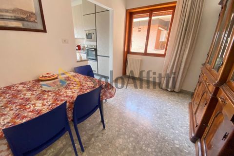 Estudi a Caserta, Caserta, Caserta - € 220/mes | Ref: SF33 - foto 3
