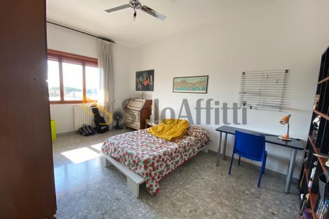 Estudi a Caserta, Caserta, Caserta - € 220/mes | Ref: SF33 - foto 15