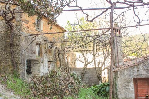 Landejendom i Proenca-a-Nova, Castelo Branco, Proenca-a-Nova - € 350.000 | Ref: SA1131 - foto 3
