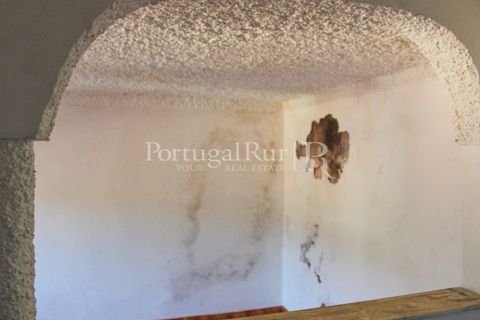 Landejendom i Proenca-a-Nova, Castelo Branco, Proenca-a-Nova - € 350.000 | Ref: SA1131 - foto 13