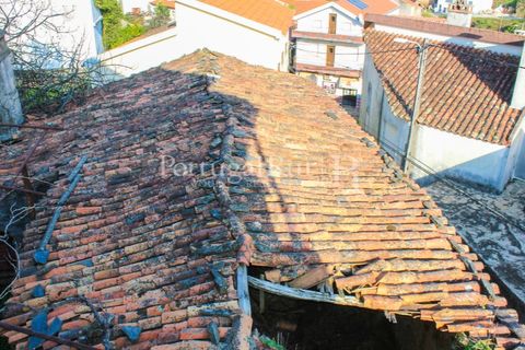 Landejendom i Proenca-a-Nova, Castelo Branco, Proenca-a-Nova - € 350.000 | Ref: SA1131 - foto 21