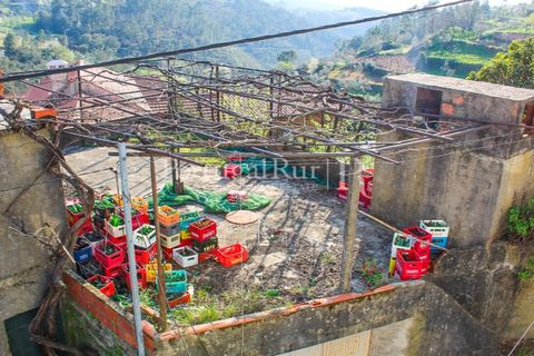 Landejendom i Proenca-a-Nova, Castelo Branco, Proenca-a-Nova - € 350.000 | Ref: SA1131 - foto 25