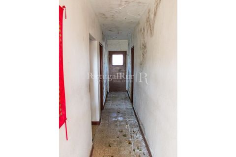 Landejendom i Proenca-a-Nova, Castelo Branco, Proenca-a-Nova - € 350.000 | Ref: SA1131 - foto 33
