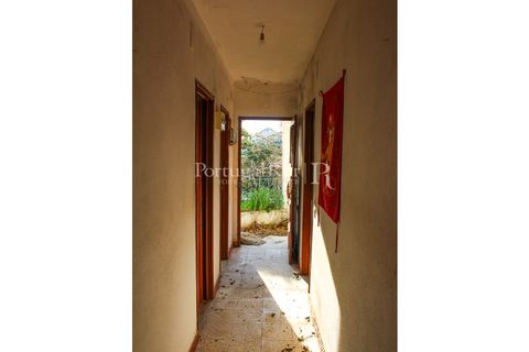Landejendom i Proenca-a-Nova, Castelo Branco, Proenca-a-Nova - € 350.000 | Ref: SA1131 - foto 39