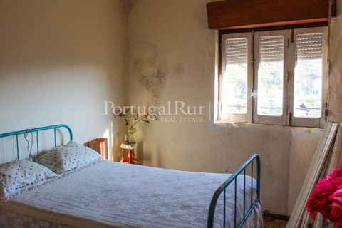 Landejendom i Proenca-a-Nova, Castelo Branco, Proenca-a-Nova - € 350.000 | Ref: SA1131 - foto 40