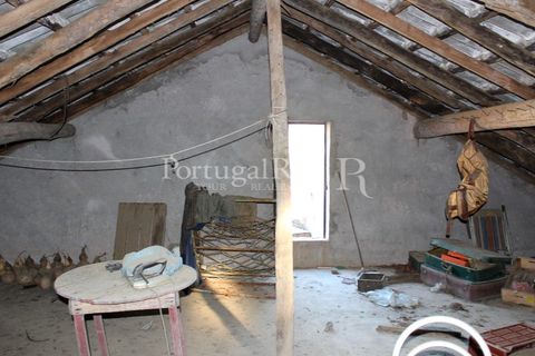 Landejendom i Proenca-a-Nova, Castelo Branco, Proenca-a-Nova - € 350.000 | Ref: SA1131 - foto 45