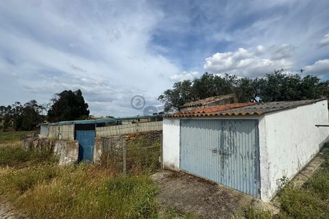 Terra a Castro Verde, Beja, Castro Verde - € 395.000 | Ref: 281671032 - foto 7