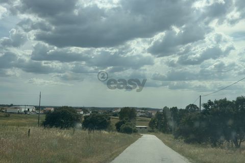 Terra a Castro Verde, Beja, Castro Verde - € 395.000 | Ref: 281671032 - foto 11