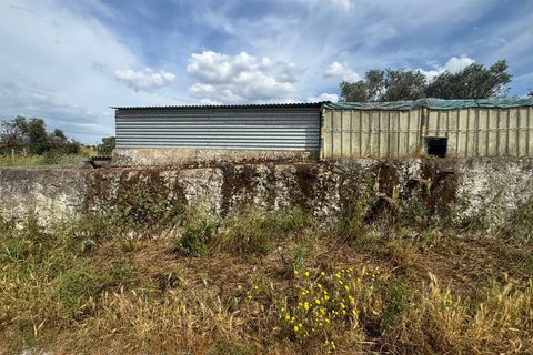 Terra a Castro Verde, Beja, Castro Verde - € 395.000 | Ref: 281671032 - foto 13