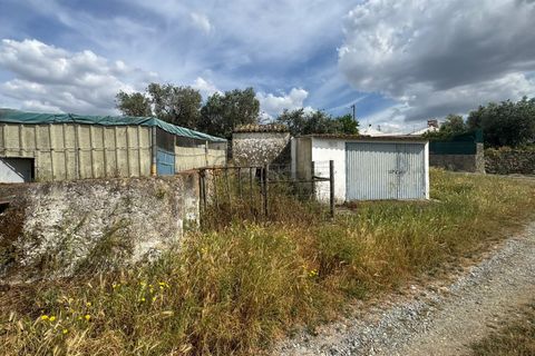 Terra a Castro Verde, Beja, Castro Verde - € 395.000 | Ref: 281671032 - foto 14