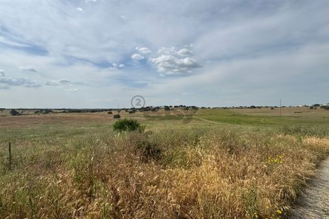 Terra a Castro Verde, Beja, Castro Verde - € 395.000 | Ref: 281671032 - foto 15