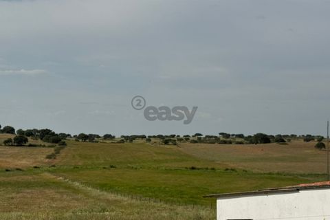 Terra a Castro Verde, Beja, Castro Verde - € 395.000 | Ref: 281671032 - foto 19