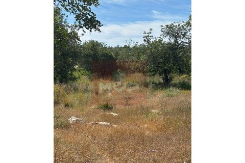 Helårsgrund i Quelfes, Faro, Quelfes - € 125.000 | Ref: 170260043 - foto 6