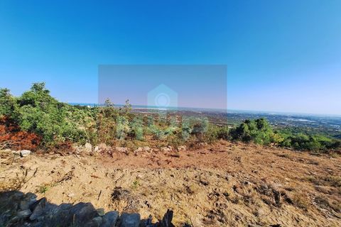 Helårsgrund i Estoi, Faro, Estoi - € 78.500 | Ref: 170240091 - foto 2