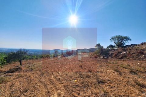 Helårsgrund i Estoi, Faro, Estoi - € 78.500 | Ref: 170240091 - foto 5