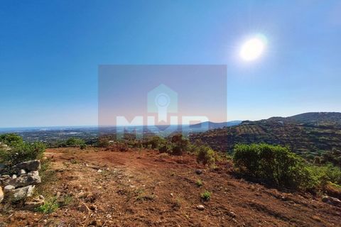Helårsgrund i Estoi, Faro, Estoi - € 78.500 | Ref: 170240091 - foto 7