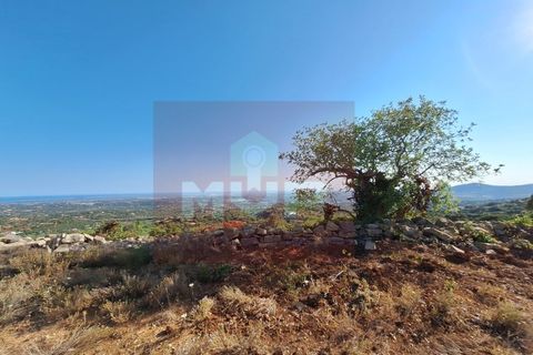 Helårsgrund i Estoi, Faro, Estoi - € 78.500 | Ref: 170240091 - foto 10