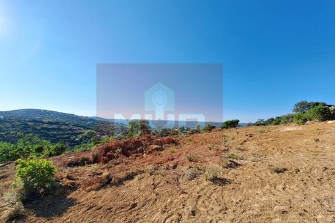 Helårsgrund i Estoi, Faro, Estoi - € 78.500 | Ref: 170240091 - foto 11