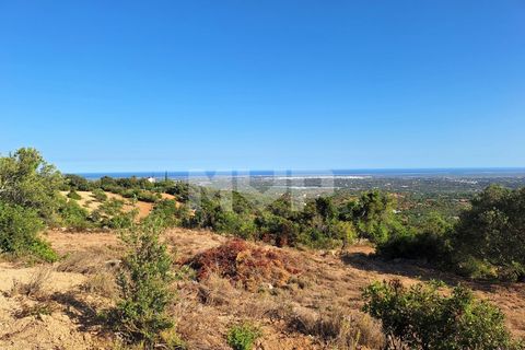 Helårsgrund i Estoi, Faro, Estoi - € 78.500 | Ref: 170240091 - foto 15