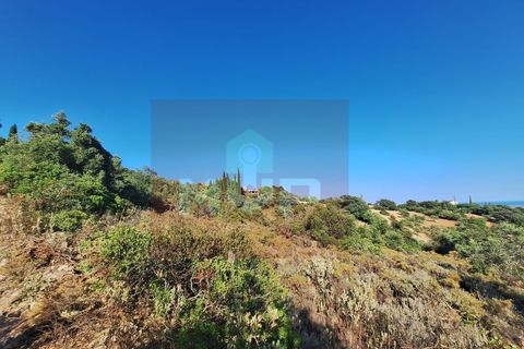 Helårsgrund i Estoi, Faro, Estoi - € 78.500 | Ref: 170240091 - foto 16