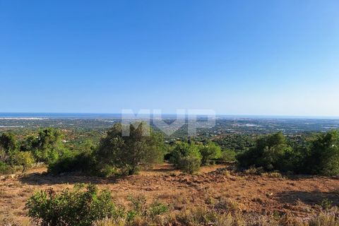 Helårsgrund i Estoi, Faro, Estoi - € 78.500 | Ref: 170240091 - foto 17