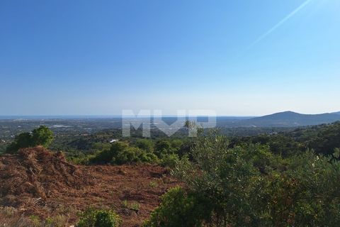 Helårsgrund i Estoi, Faro, Estoi - € 78.500 | Ref: 170240091 - foto 18