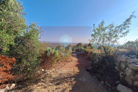 Helårsgrund i Estoi, Faro, Estoi - € 78.500 | Ref: 170240091 - foto 22