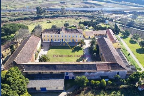Farm i Nazare, Leiria, Nazare - € 2.900.000 | Ref: TRI-316-24-CS - foto 2